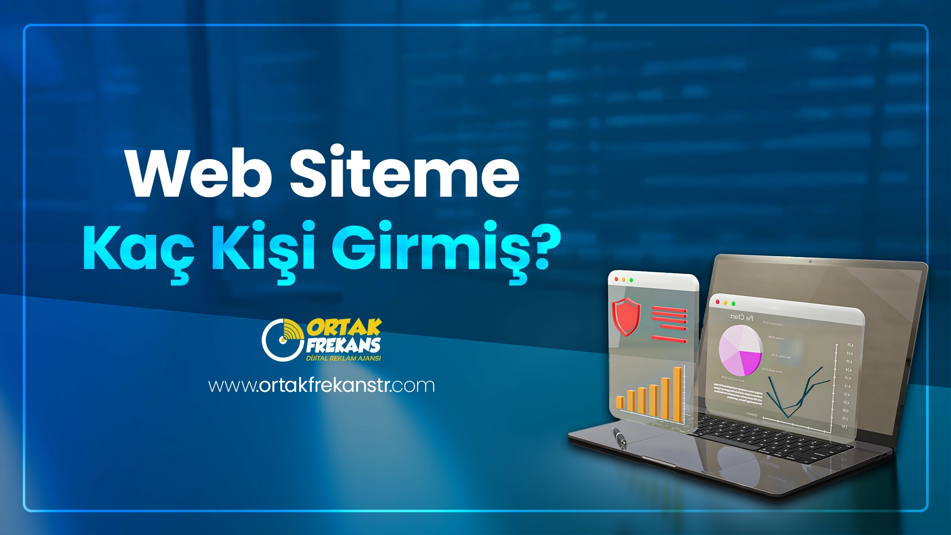 web-siteme-kac-kisi-girmis