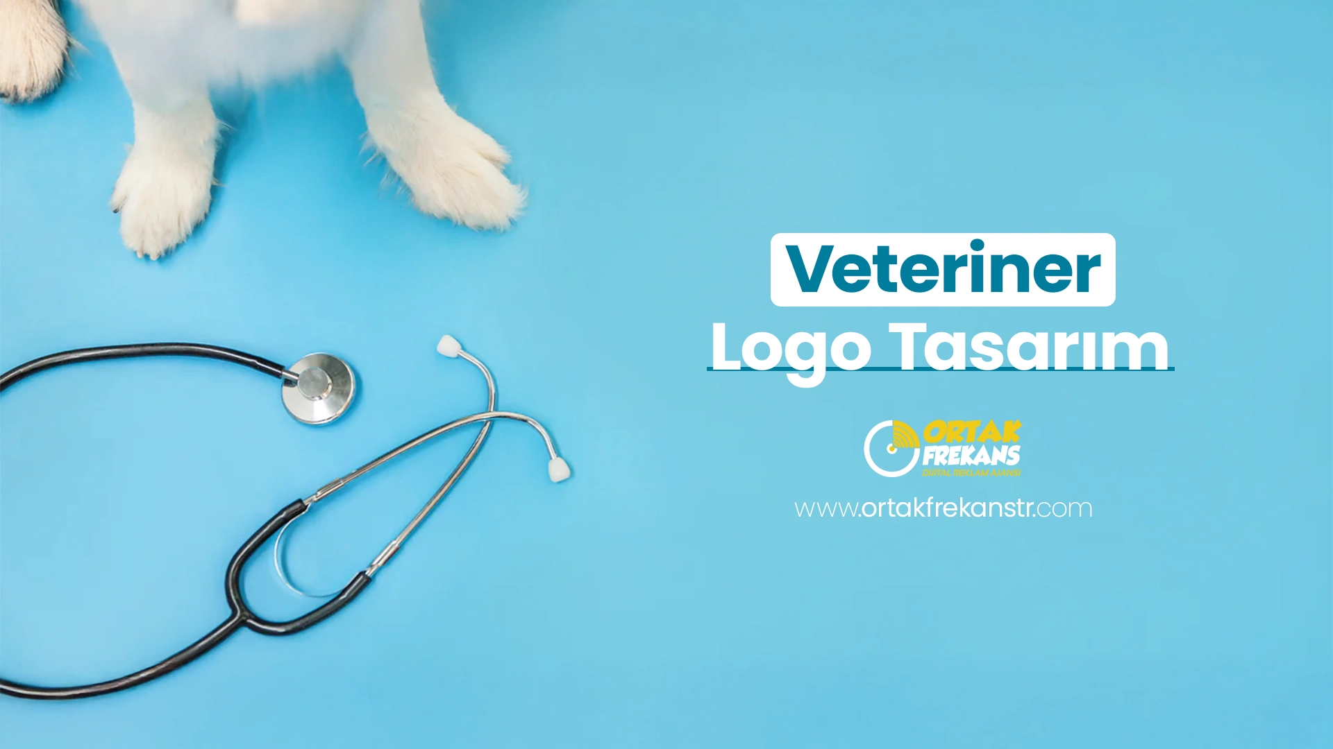 Veteriner Logo Tasarım - Ücretsiz Danışmanlık 1 veteriner-logo-tasarim